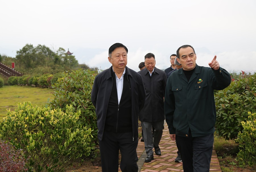 19-2021年10月，原國(guó)土資源部副部長(zhǎng)汪民蒞臨公司調(diào)研。.jpg