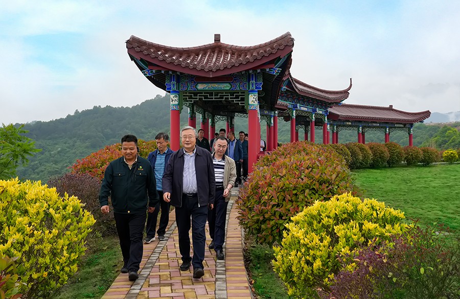 49-2022年5月，省工信廳副廳長(zhǎng)王海峰一行蒞臨金徽股份調(diào)研綠色礦山建設(shè)工作。.jpg