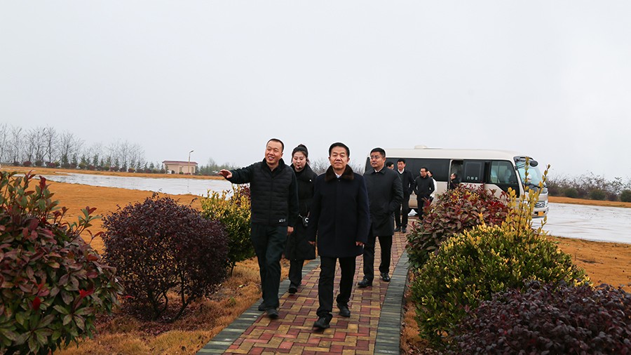 45-2020年12月，省高級(jí)人民法院黨組成員、副院長(zhǎng)任建國(guó)蒞臨金徽股份調(diào)研知識(shí)產(chǎn)權(quán)司法保護(hù)工作。.jpg