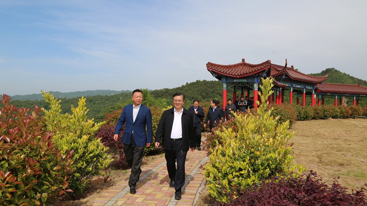 省人民檢察院黨組書記、檢察長朱玉調(diào)研金徽股份
